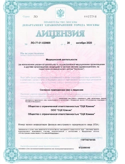 лицензия